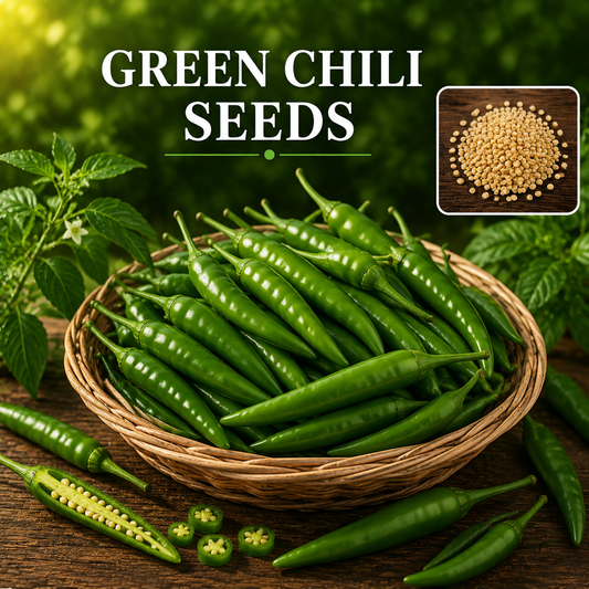 F1 Hybrid Green Chili (سبز مرچ) 15+ Seeds