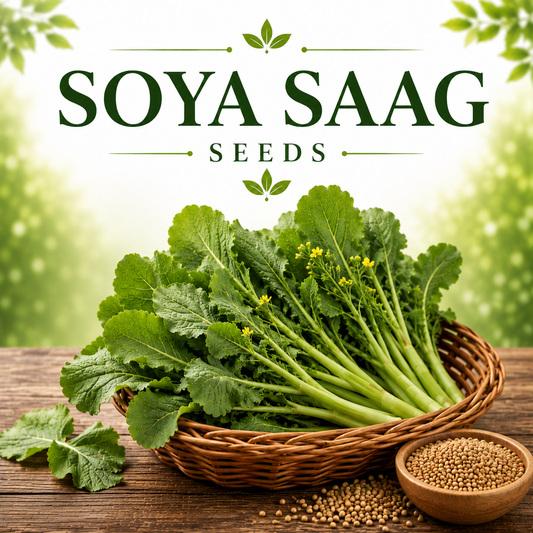 Soya Saag 500+ Seeds