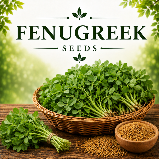 Fenugreek (میتھی) 500+ Seeds