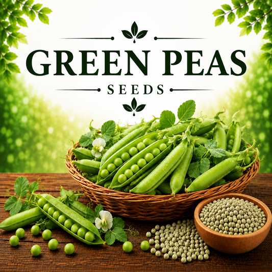 Green Peas (مٹر) 40+ Seeds