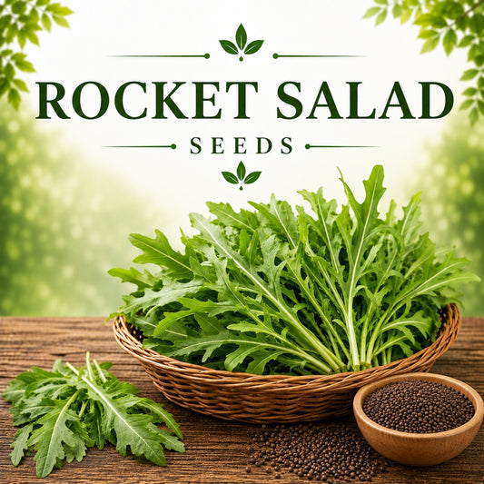 Rocket Salad (Taramira Saag) 500+ Seeds