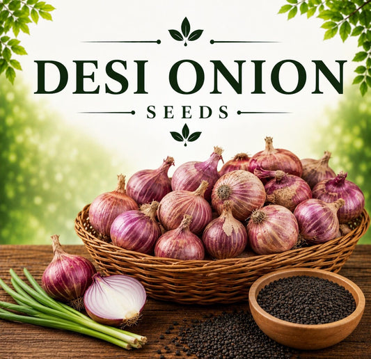 Desi Onion Seeds